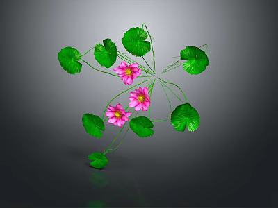Frog Resting On Green Lotus Leaf With Pink Water Flowers 3d model