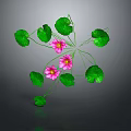 Frog Resting On Green Lotus Leaf With Pink Water Flowers