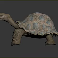 Colorful Turtle Sculpture With Detailed Shell Patterns And Textured Legs 3d model