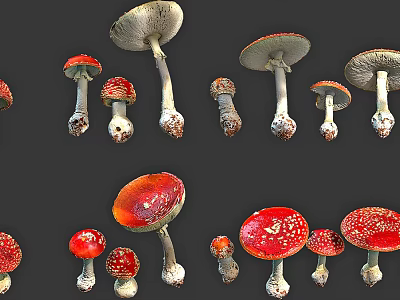 Fresh Assorted Vegetables Collection With Bright Colors And Different Shapes 3d model