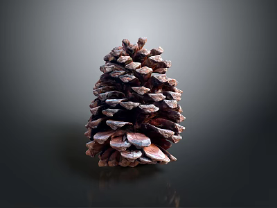 Pine Cone Inspired Food Creation With Natural Organic Shape 3d model