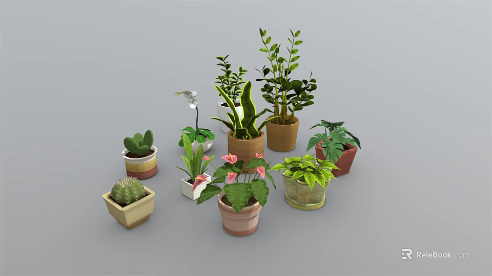 Collection of Diverse Potted Indoor Plants with Succulents Orchids and Leafy Varieties 3d model 