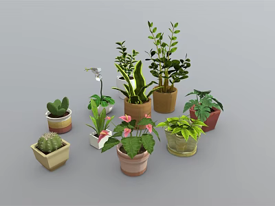 Collection of Diverse Potted Indoor Plants with Succulents Orchids and Leafy Varieties 3d model