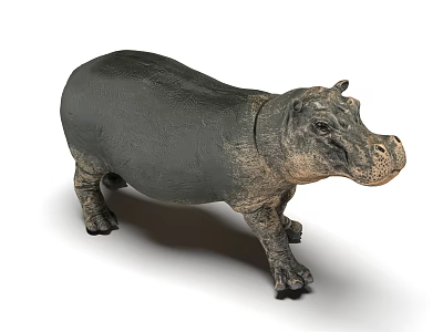 Modern Hippo 3d model