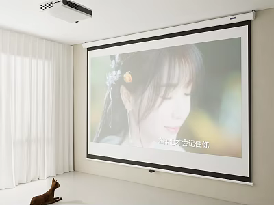 Projection Monitoring Large Screen Indoor Home System Featuring Clear Human Image And High Definition 3d model