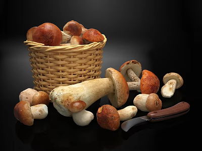 Fresh Wild Mushrooms In Wicker Basket With Scattered Ones And Wooden Handle Knife 3d model
