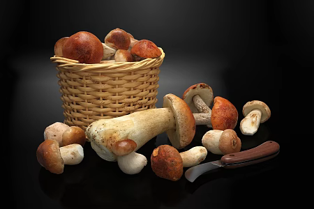 Modern Mushroom Shiitake 3d model