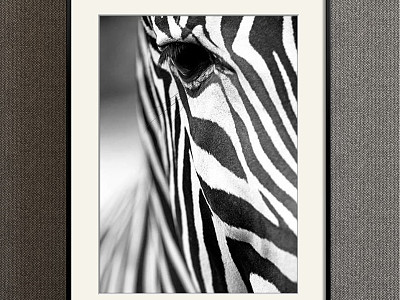 Modern Animal Painting Simple Black and White Children's Room Animal Zebra Decorative Painting model