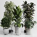 Indoor and outdoor green plants potted plant furnishings 3d model