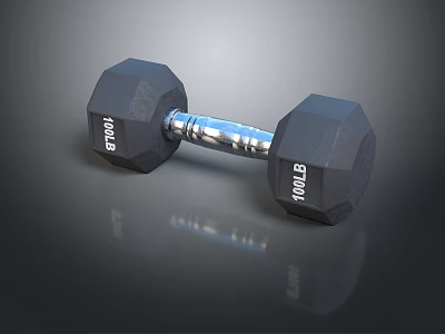 Hexagonal Fitness Dumbbell with 100 LB Weight Plates and Chrome Handle 3d model