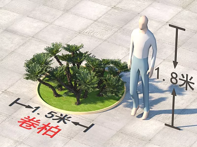Selaginella Arbor Display with 1.5 Meters Width and 1.8 Meters Height 3d model
