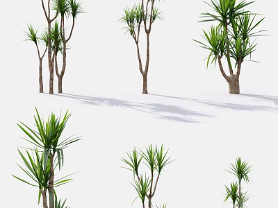 Green Plants With Slender Trunks And Sword Shaped Leaves In Various Heights On White Background 3d model