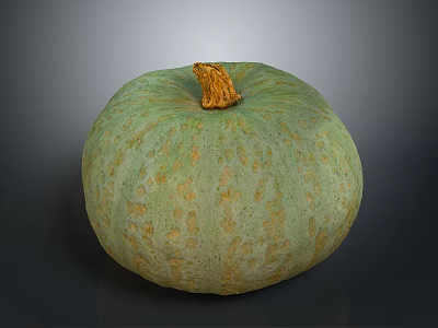 Whole Green Pumpkin With Yellow Spots And Brown Stem Surface Texture 3d model