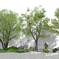 Modern Tree Landscape Tree 3d model