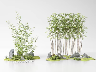 Bamboo Plants with Rocks and Green Grass in Natural Garden Landscape 3d model