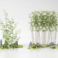 Bamboo Plants with Rocks and Green Grass in Natural Garden Landscape