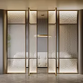 Modern Textured Glass Room Divider With Golden Frame And Illuminated Design