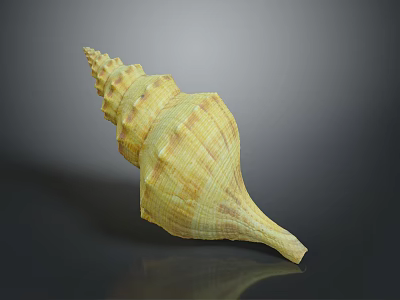 Spiral Shaped Yellow Brown Conch Shell With Textured Surface And Smooth Finish 3d model