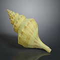 Spiral Shaped Yellow Brown Conch Shell With Textured Surface And Smooth Finish 3d model