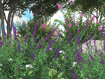 Lush Flowering Bushes with Purple Pink and White Blooms Surrounded by Trees Under Clear Sky 3d model