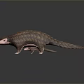 Realistic Pangolin 3D Model With Brown Scales And Pink Nose
