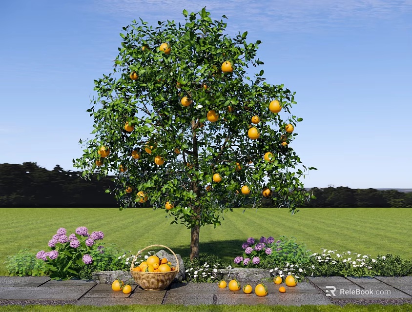 Citrus Tree With Yellow Fruits In Green Grass Field With Purple White Flowers And Basket 3d model 
