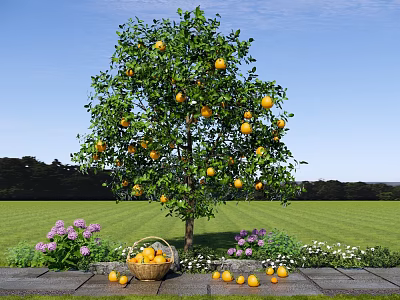 Citrus Tree With Yellow Fruits In Green Grass Field With Purple White Flowers And Basket 3d model