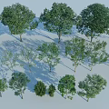 Various Green Arbor Trees With Different Sizes Heights And Foliage Shapes 3d model