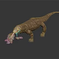 Komodo Dragon With Brown Skin Sticking Out Tongue And Stones On Dark Background
