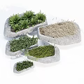 Bonsai Potted Plants In Stylish Irregular Stone Planters With Green Foliage And Grasses