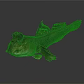 Unique Fish With Large Eyes Brown Yellow Body And Distinct Fins On Gray Background