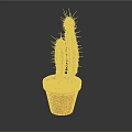 Potted Green Columnar Cactus with Spines in Orange Terracotta Pot on Dark Background