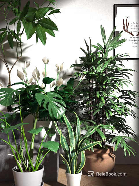 Bonsai Potted Plants Indoor Decor with Lush Green Monstera Leaves Striped Foliage and White Flowers 3d model 