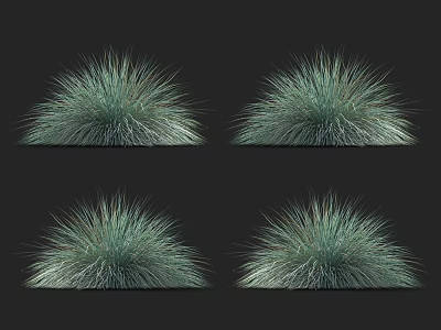 Lush Silver Green Ornamental Grasses With Tufted Growth For Garden Landscaping 3d model