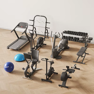 Complete Home Gym Sports Equipment Including Treadmill Dumbbells Exercise Bike And Balance Ball 3d model