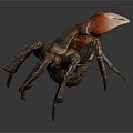 Reddish Brown Crab Showing Detailed Claws And Legs Against Gray Background