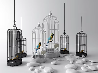 Decorative Ornament Set with Multiple Birdcages Colorful Parrots and White Pebbles 3d model
