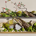 Natural Moss Decorative Landscape With Stones Wooden Branches And Red Berries