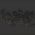 Dried Herbaceous Plants With Fluffy Clustered Growth And Gray Green Brown Tones On Dark Background