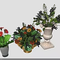Colorful Potted Plants With Red Orange Yellow Flowers Dark Black Berries And Green Leaves