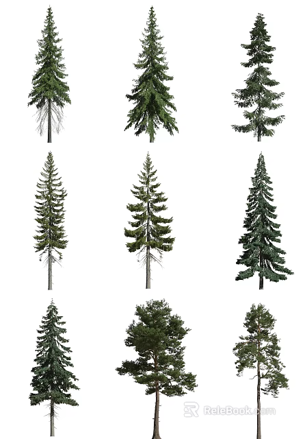Collection of Arbor Trees with Diverse Foliage Shapes and Heights 3d model 