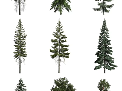 Collection of Arbor Trees with Diverse Foliage Shapes and Heights 3d model