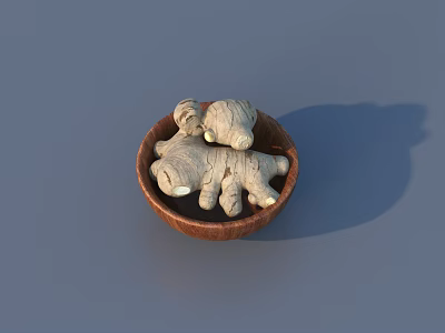 Stylish Bonsai Plant in Wooden Bowl with Natural Texture and Green Growth 3d model