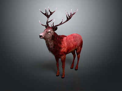 Red Reptile With Antler Like Horns In 3D Render Gray Background 3d model