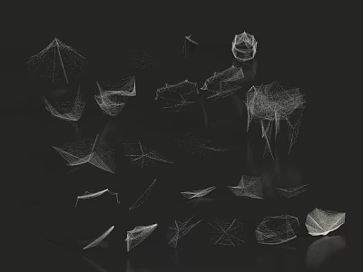 Abstract Reptile Inspired White Mesh Geometric Shapes With Broken Polygons On Black Background 3d model