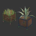 Green Grass Like And Aloe Like Plants In Wooden Square Planters With Black Frames