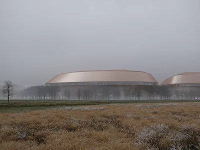 Two Large Domed Buildings Under Foggy Overcast Sky Surrounded by Withered Grass and Trees 3d model