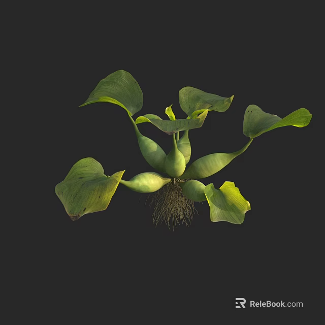 Vibrant Green Plant Showcasing Lush Leaves and Healthy Exposed Roots 3d model 