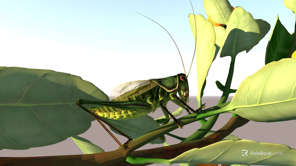Green grasshopper with long antennae perched on green leaves and branch 3d model 