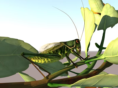 Green grasshopper with long antennae perched on green leaves and branch 3d model